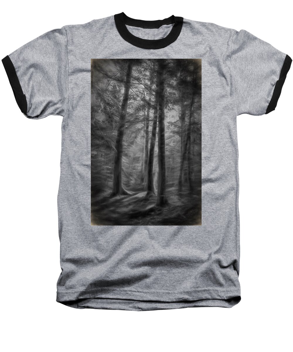 Trees Baseball T-Shirt featuring the photograph In the Woods by Phyllis Meinke