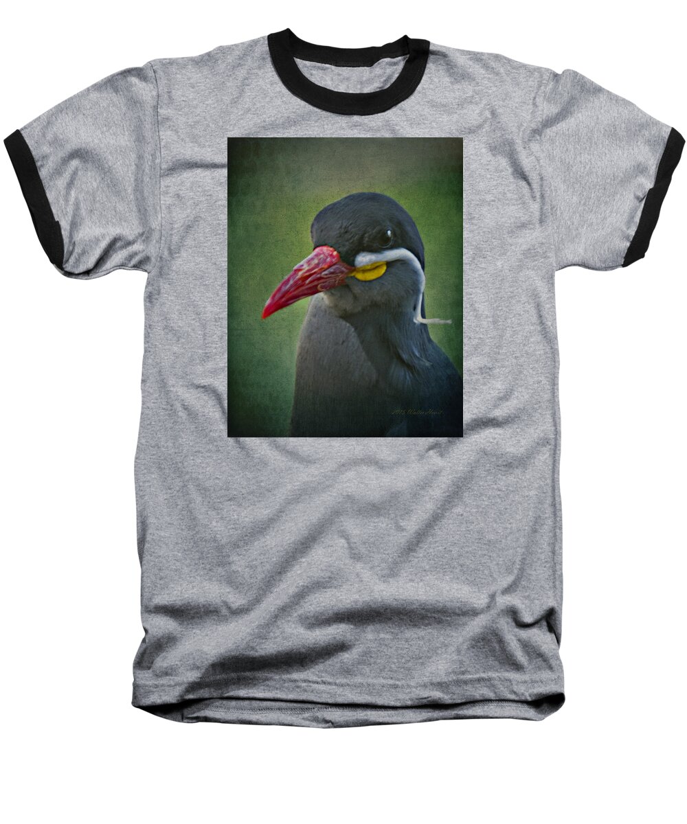 Inca Tern Baseball T-Shirt featuring the photograph Inca Tern _ 1a by Walter Herrit