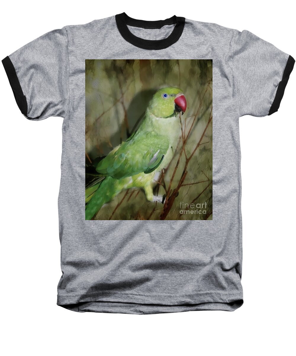 Parrot Baseball T-Shirt featuring the photograph Indian Ringneck Parrot by Judy Palkimas