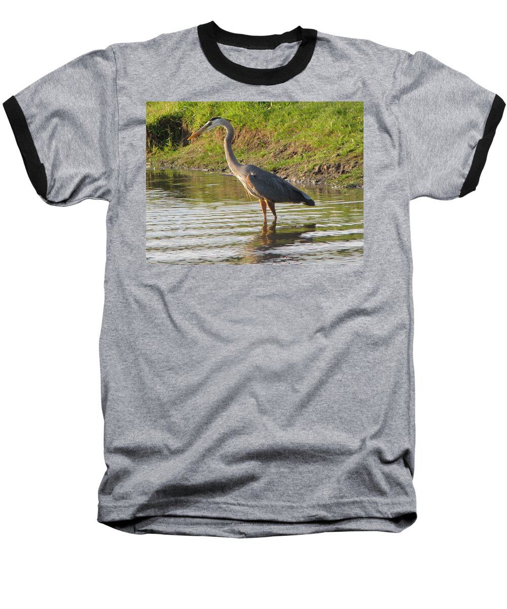 Bird Baseball T-Shirt featuring the photograph Intense Fishing by Cheryl Charette