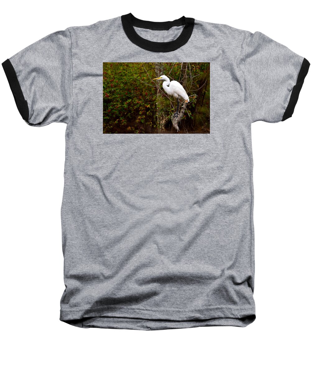 Heron Baseball T-Shirt featuring the photograph Intense by Jamie Pattison