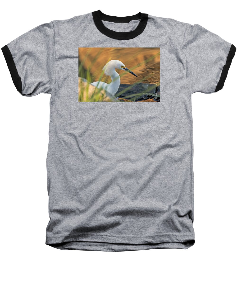 Bird Baseball T-Shirt featuring the photograph Intent Hunter by Kate Brown