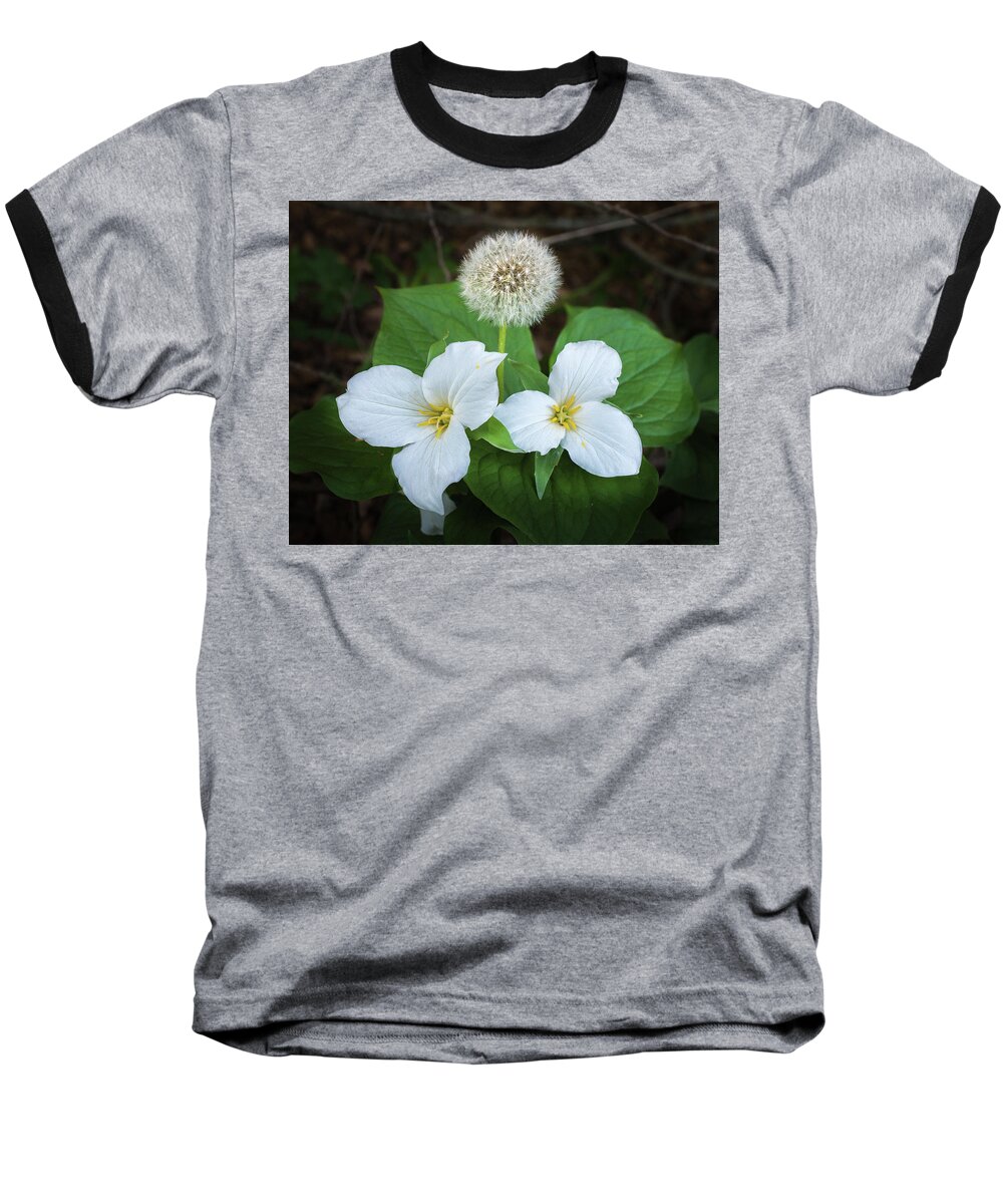 Wildflower Baseball T-Shirt featuring the photograph Interloper by Bill Pevlor