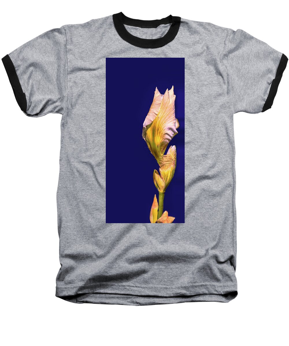 Yellow Baseball T-Shirt featuring the photograph Iris beginning to bloom #g0 by Leif Sohlman