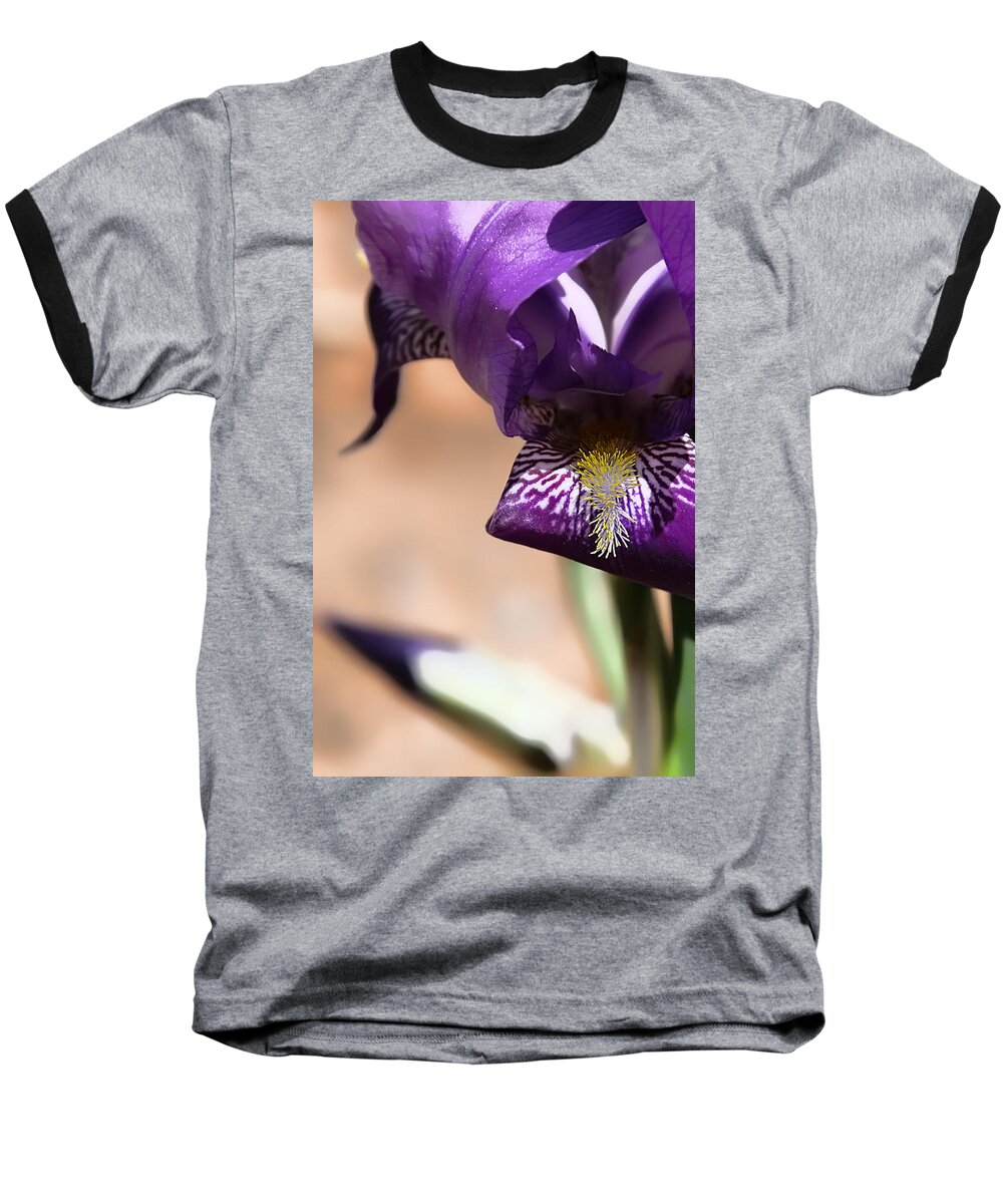 Iris Baseball T-Shirt featuring the photograph Iris gemanica by Patricia Montgomery