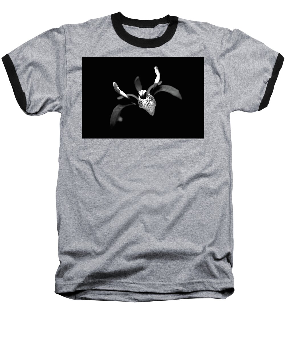 Iris Monochrome Baseball T-Shirt featuring the photograph Iris by Ian Sanders