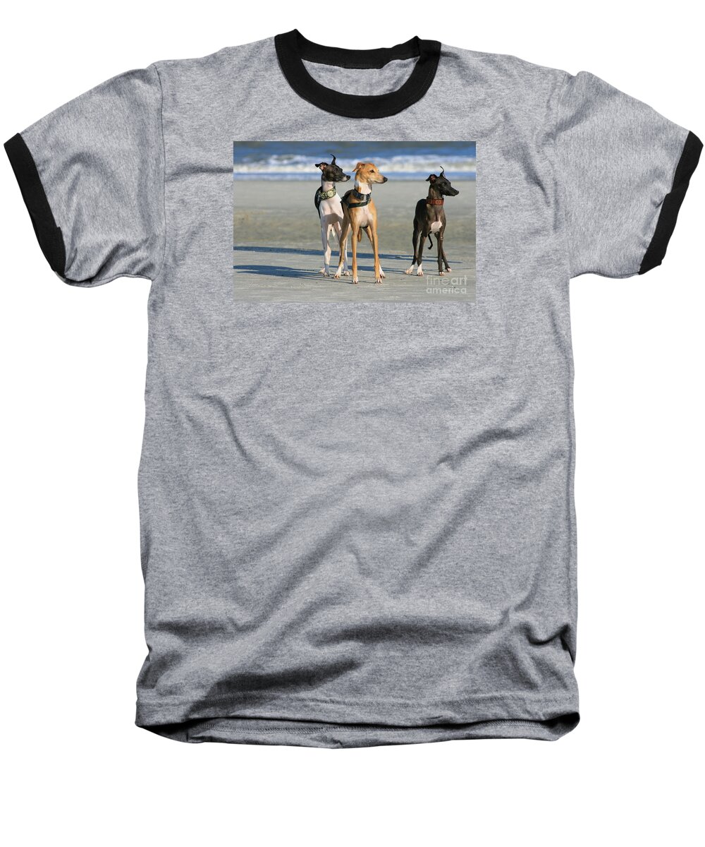 Black And White Baseball T-Shirt featuring the photograph Italian Greyhounds on the Beach by Angela Rath