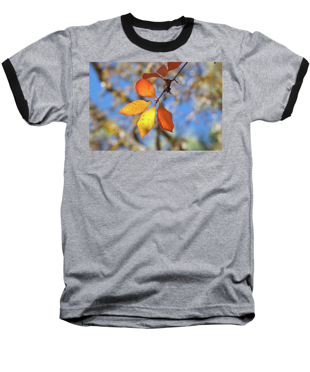 Oak Leaves Baseball T-Shirt featuring the photograph It's Time to Change by Linda Unger