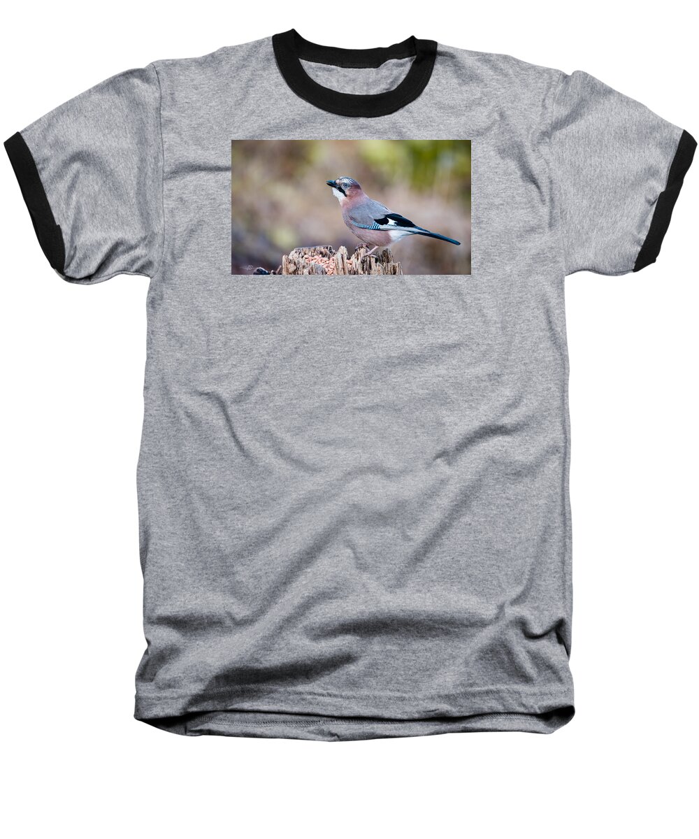 Jay In Profile Baseball T-Shirt featuring the photograph Jay in profile by Torbjorn Swenelius