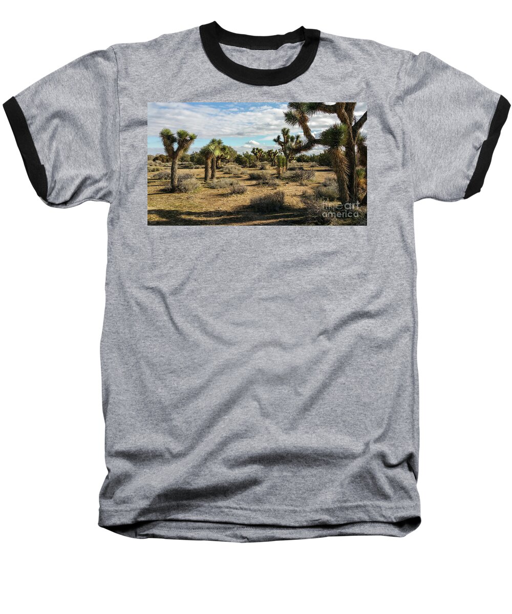 Alone Baseball T-Shirt featuring the photograph Joshua Tree's by Joe Lach