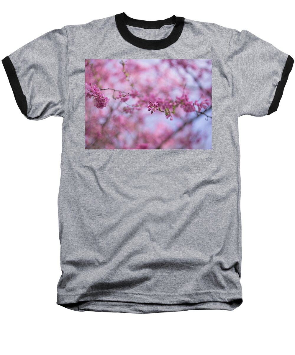 Cherry Blossoms Baseball T-Shirt featuring the photograph Joy of spring by Kunal Mehra