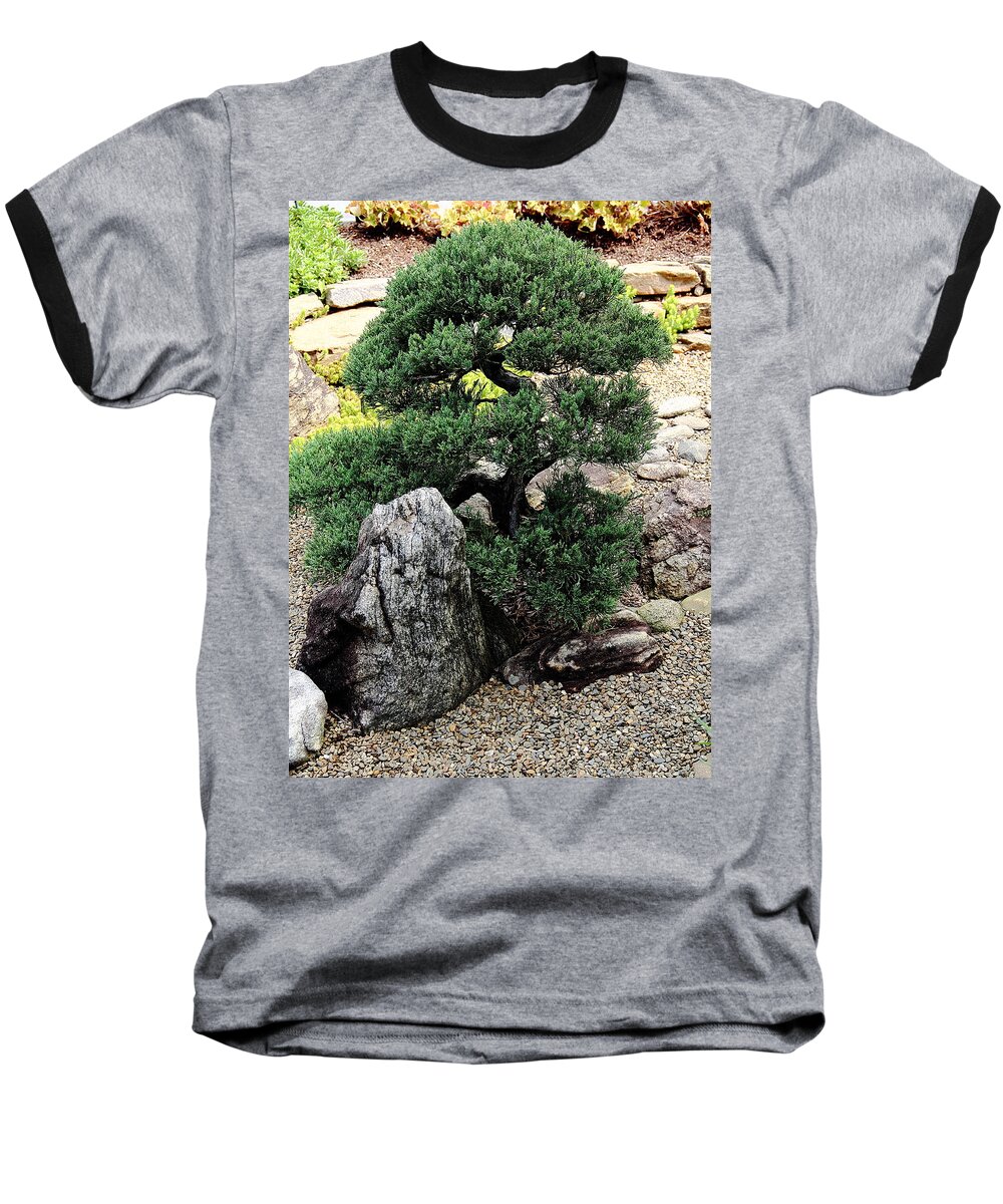 Tree Baseball T-Shirt featuring the photograph Juniper by Allen Nice-Webb