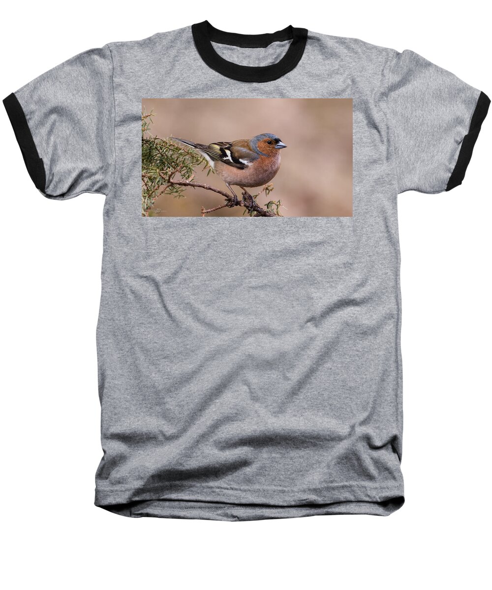 Juniper Bird Baseball T-Shirt featuring the photograph Juniper Bird by Torbjorn Swenelius
