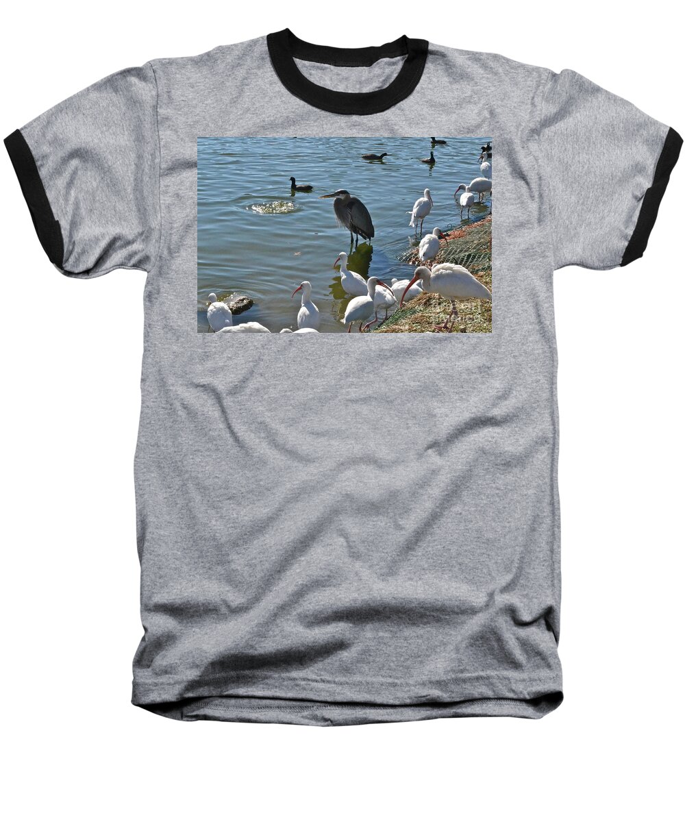 Heron Baseball T-Shirt featuring the photograph Just Me And A Few Friends by Carol Bradley
