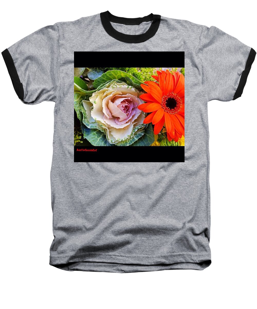 Flowersofinstagram Baseball T-Shirt featuring the photograph Just One Of Those Days Made Better With by Austin Tuxedo Cat