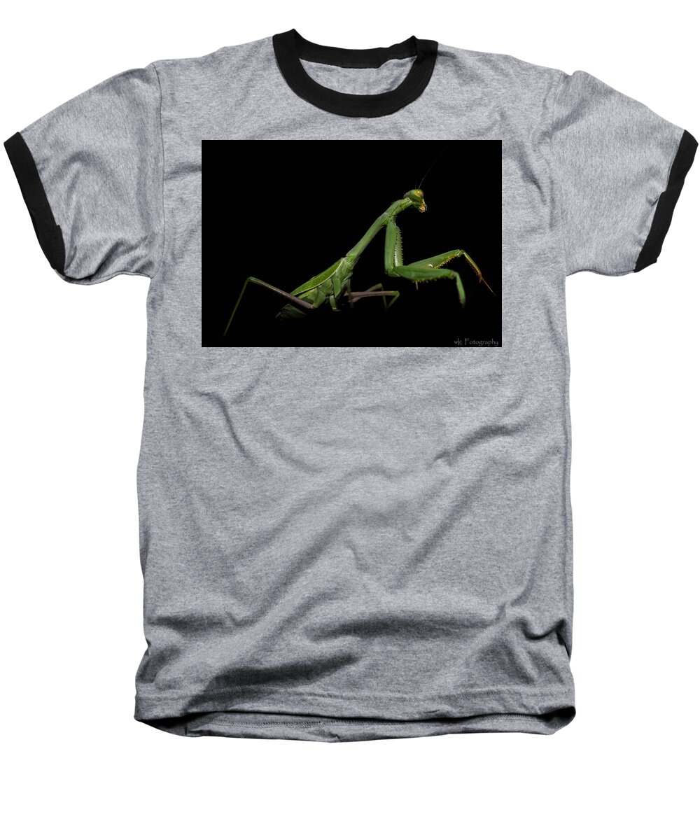 Insects Baseball T-Shirt featuring the photograph Katydid in Black by Wendy Carrington