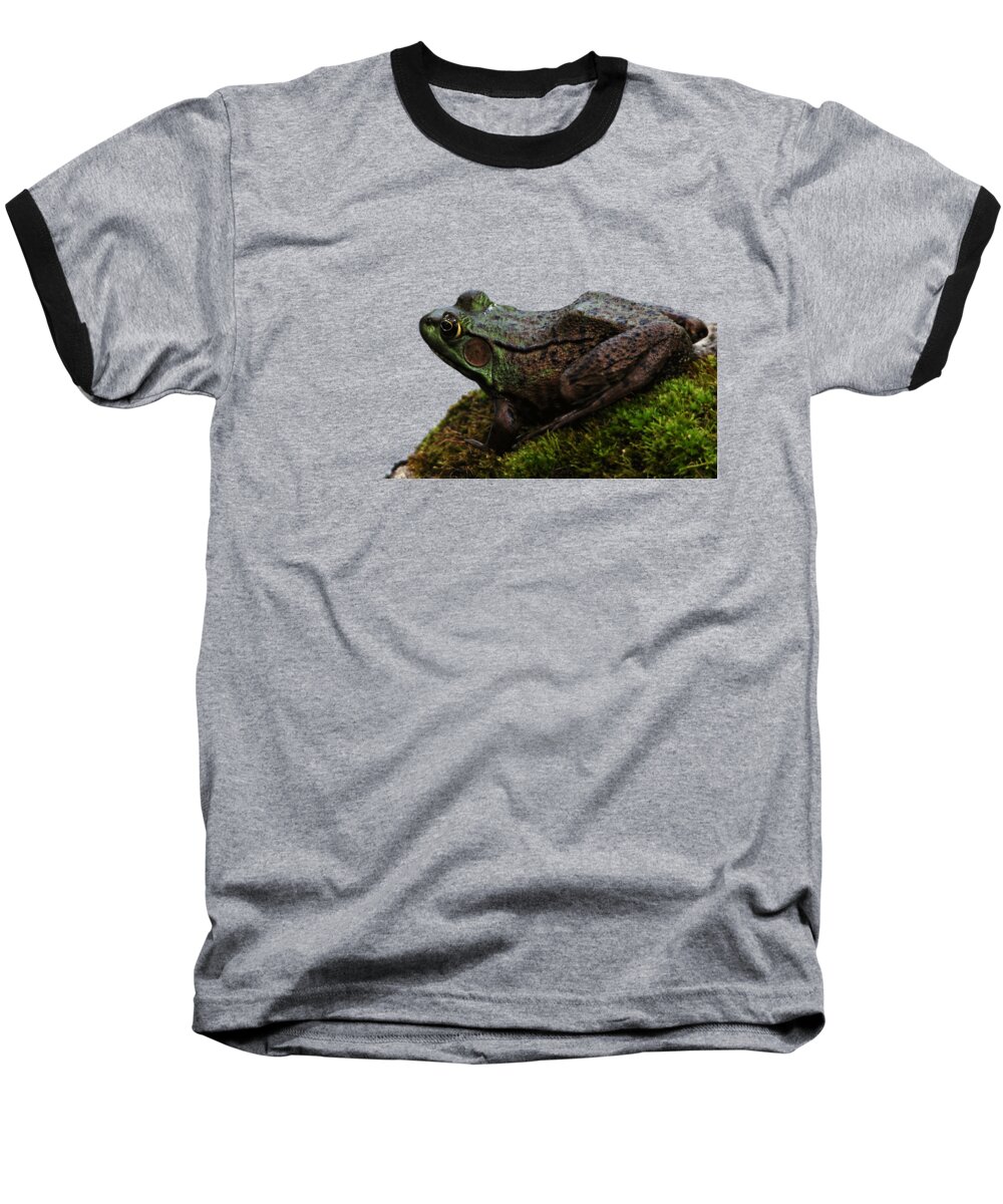 Amphibians Baseball T-Shirt featuring the photograph King Of The Rock by Debbie Oppermann