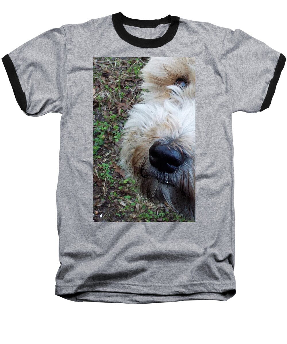 Animal Baseball T-Shirt featuring the photograph Kisses? by Michael Dillon
