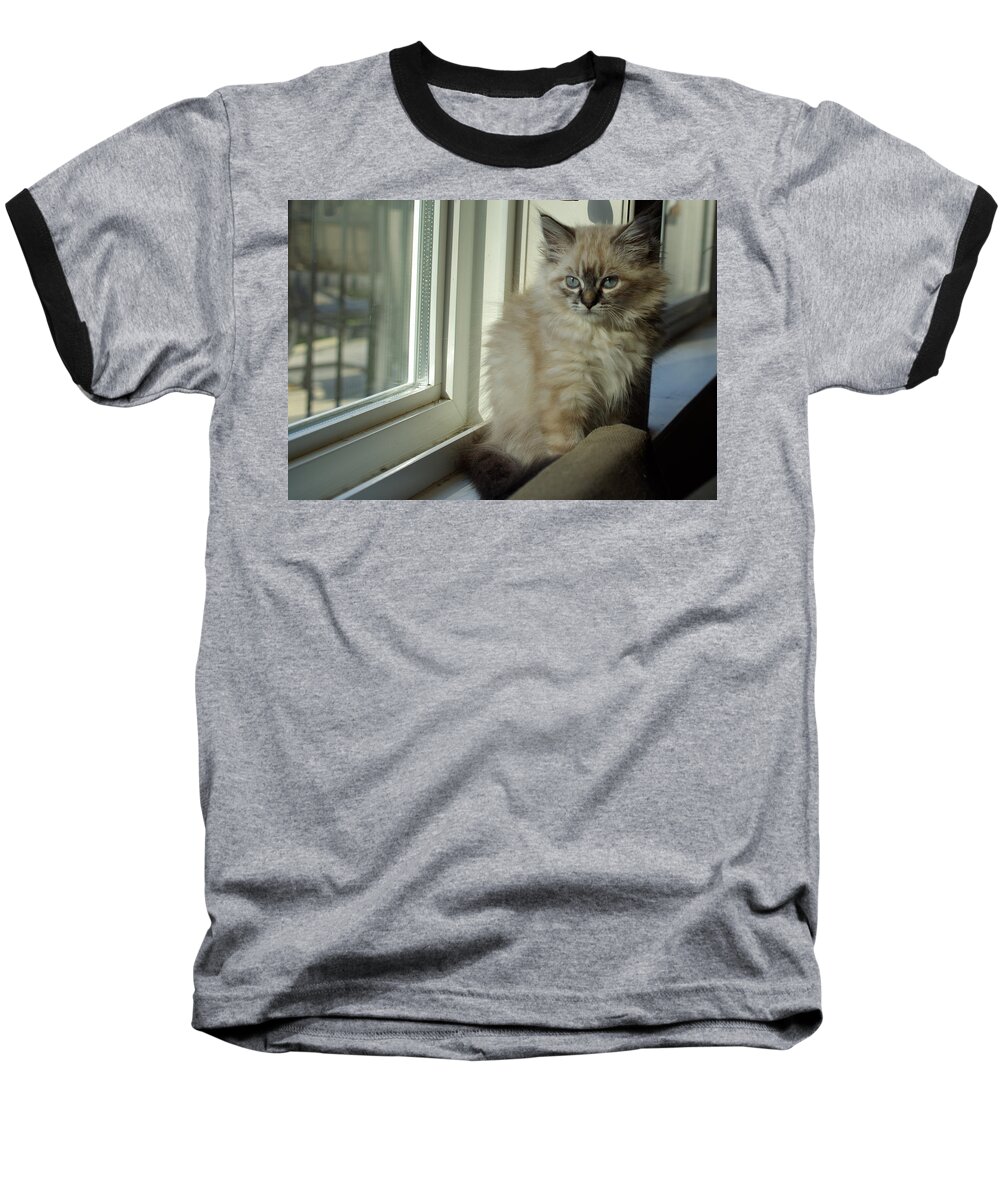 Kitten Baseball T-Shirt featuring the photograph Kitten Daydreams by Cindy Johnston