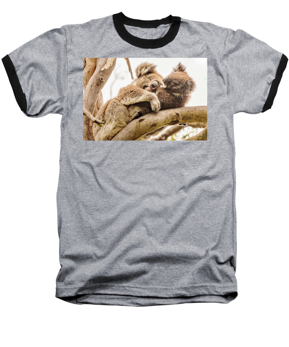 Koala Baseball T-Shirt featuring the photograph Koala 5 by Werner Padarin