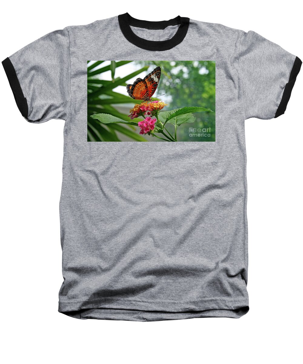 Butterfly Baseball T-Shirt featuring the photograph Lacewing Butterfly by Karen Adams