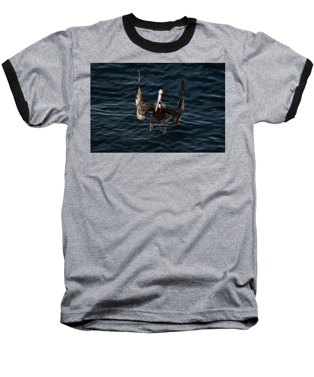 Phenicie Baseball T-Shirt featuring the photograph Landing 3 by James David Phenicie