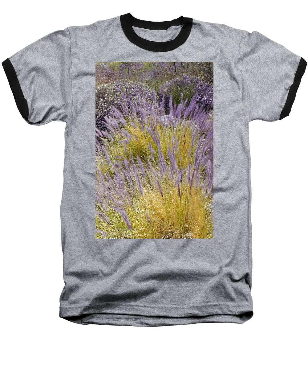 Grass Baseball T-Shirt featuring the photograph Landscape With Purple Grasses by Ben and Raisa Gertsberg