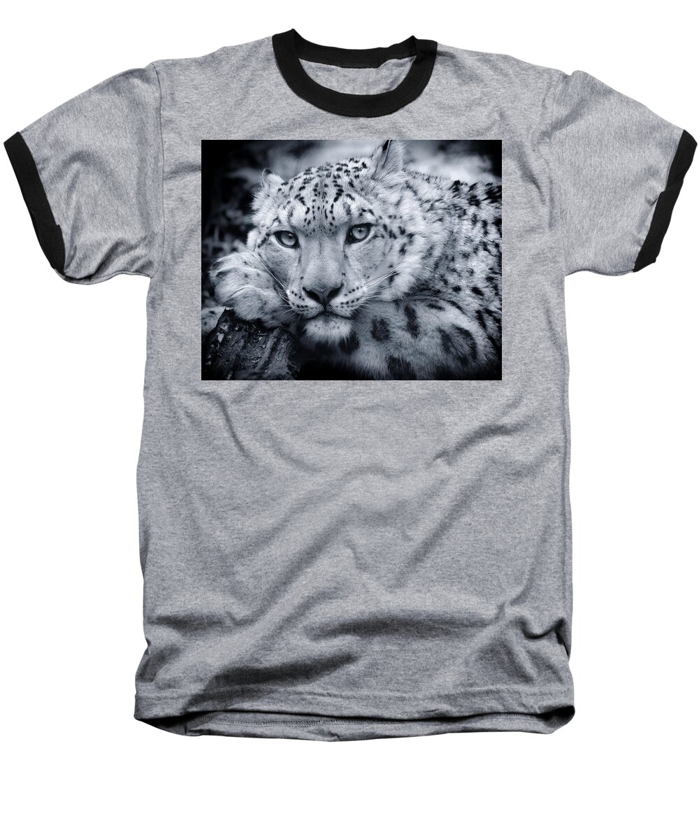 Snow Leopard Baseball T-Shirt featuring the photograph Large Snow Leopard Portrait by Chris Boulton