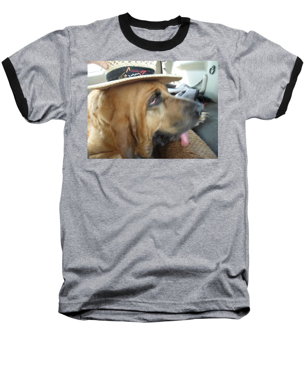Bloodhound Baseball T-Shirt featuring the photograph Last Car Ride by Val Oconnor