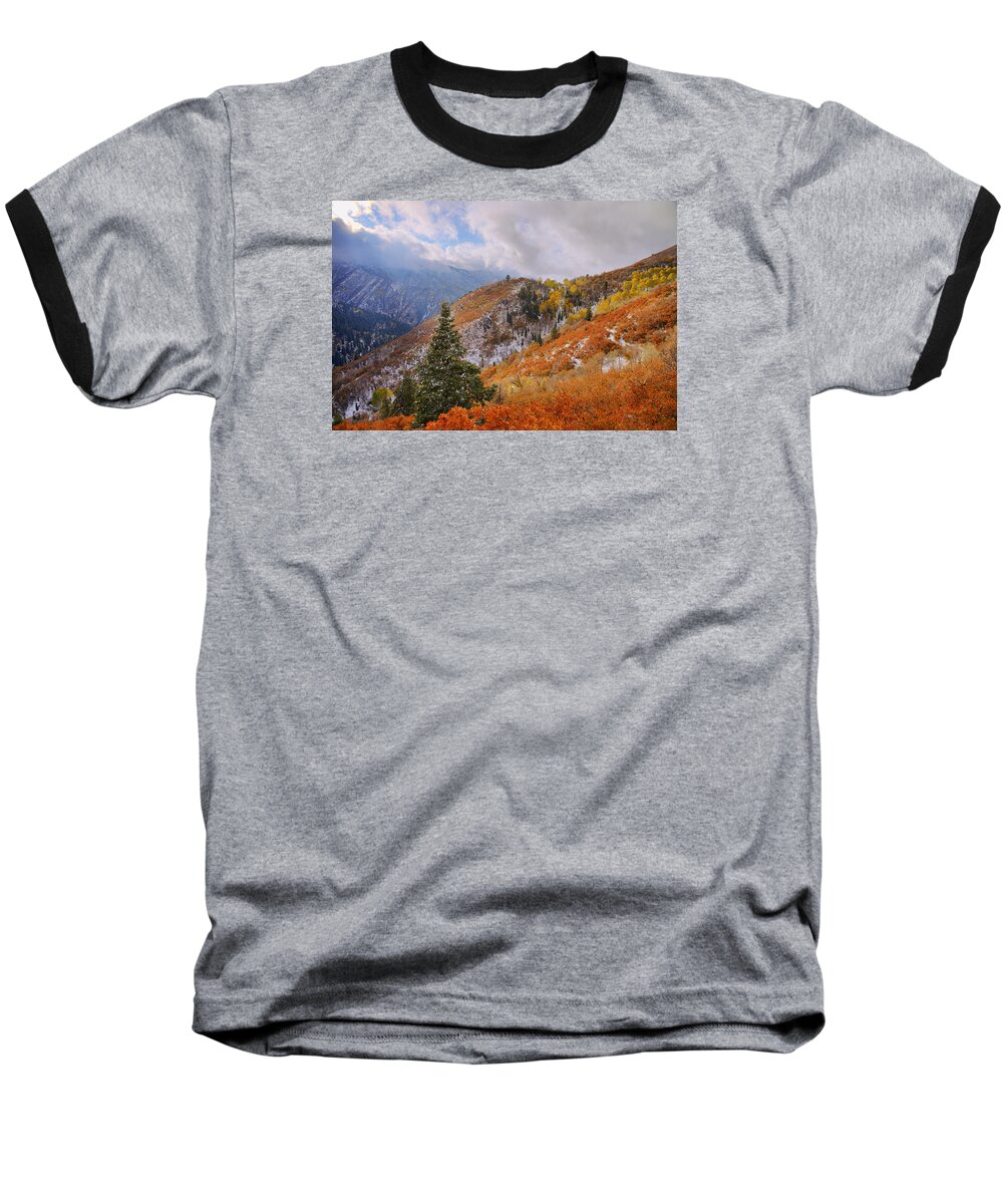 Forest Baseball T-Shirt featuring the photograph Last Fall by Chad Dutson