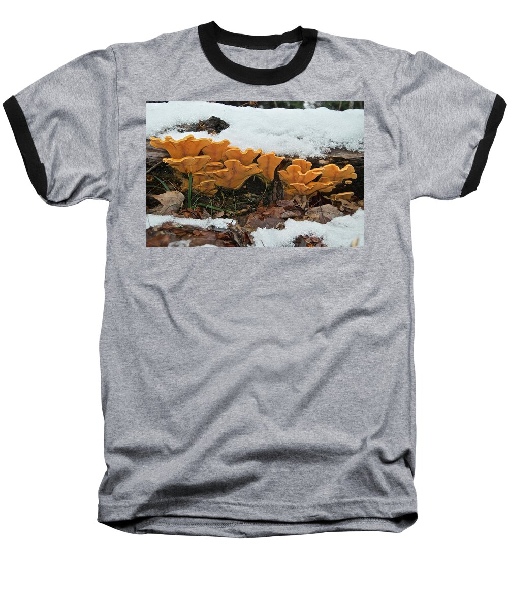 Mushroom Baseball T-Shirt featuring the photograph Last Mushrooms of the Seasons by Michael Peychich