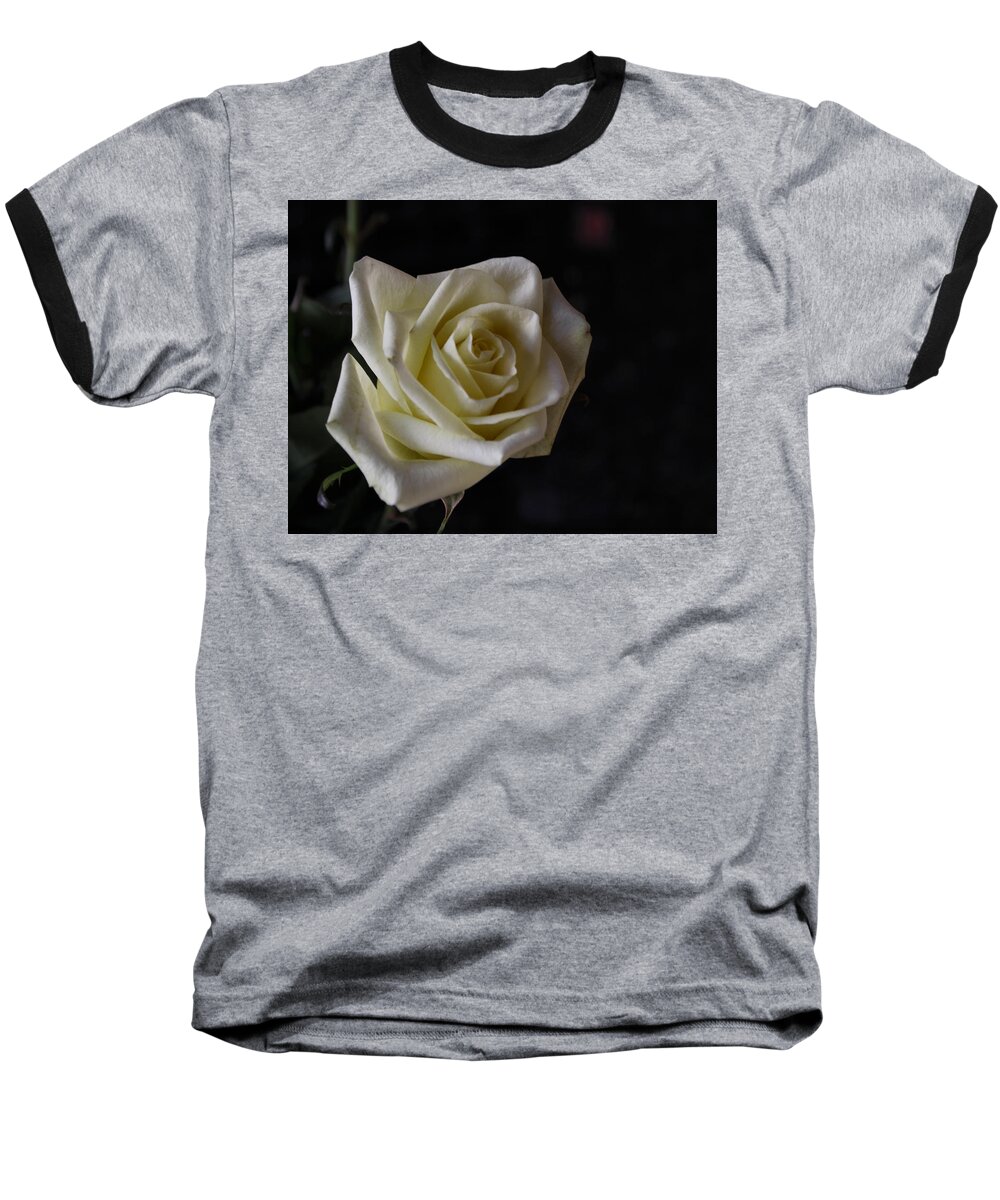 Rose Baseball T-Shirt featuring the photograph Last of the 1st Rose of Spring by Lin Grosvenor