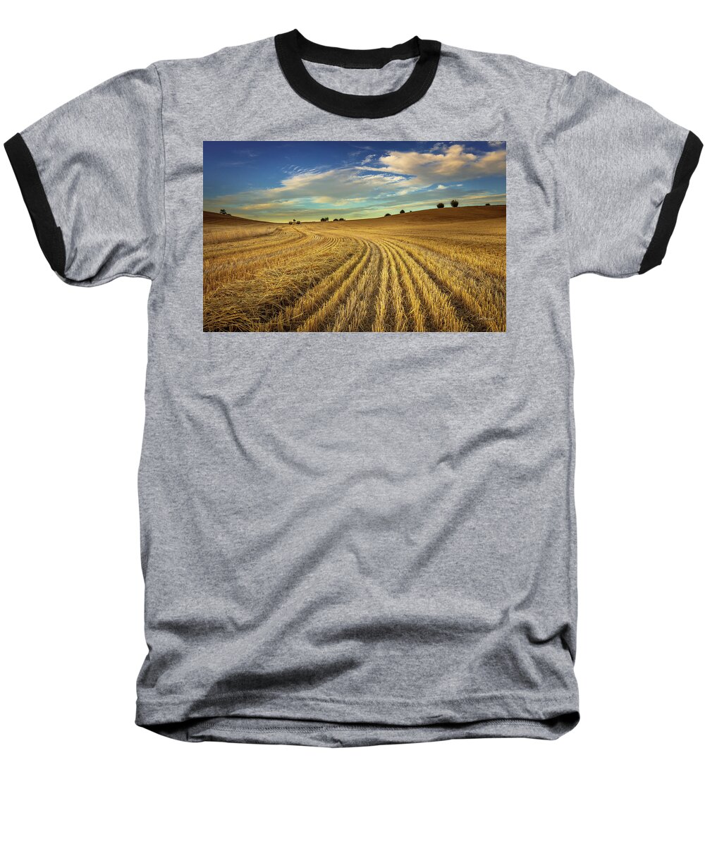 Paso Robles Baseball T-Shirt featuring the photograph Late Harvest by Tim Bryan