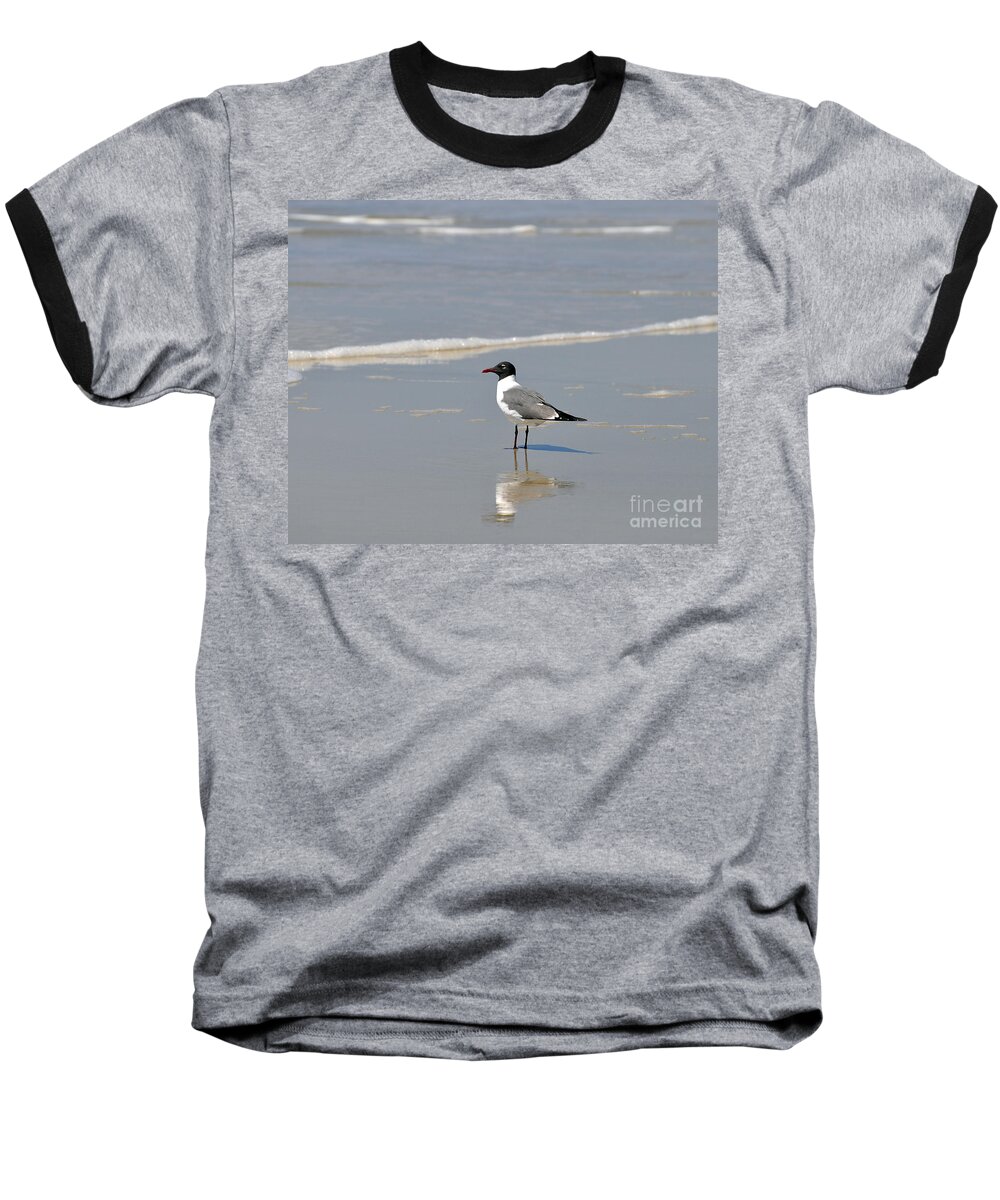 Laughing Gull Baseball T-Shirt featuring the photograph Laughing Gull Reflecting by Al Powell Photography USA