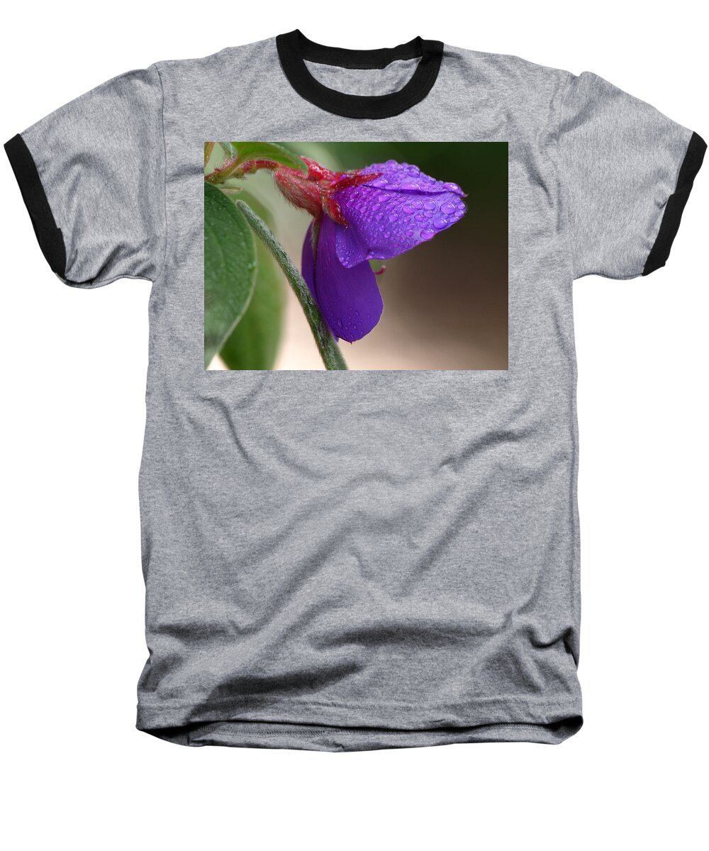 Botanical Baseball T-Shirt featuring the photograph Tibouchina Lavender Raindrops by Richard Thomas