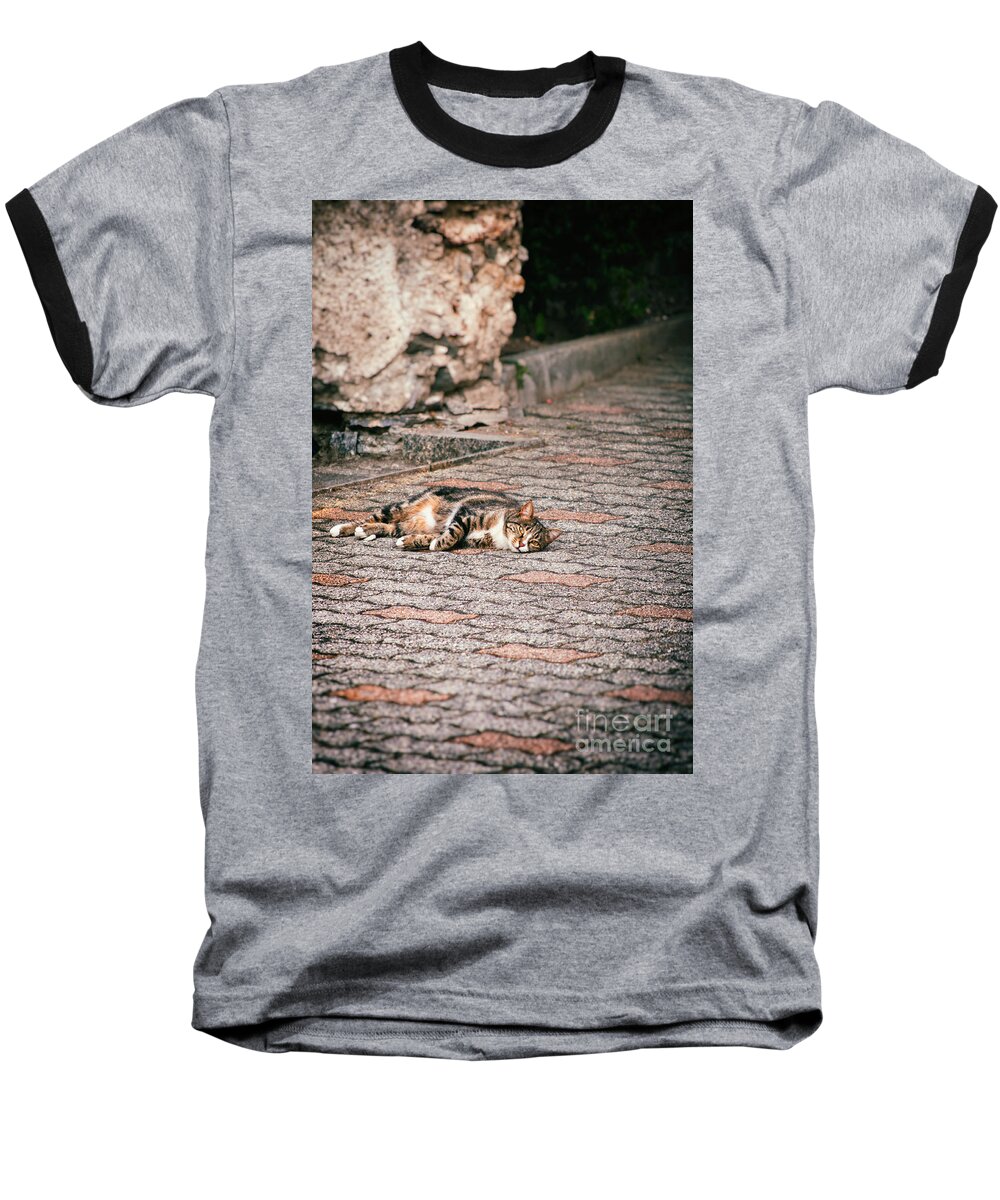 Animal Baseball T-Shirt featuring the photograph Lazy cat  by Silvia Ganora