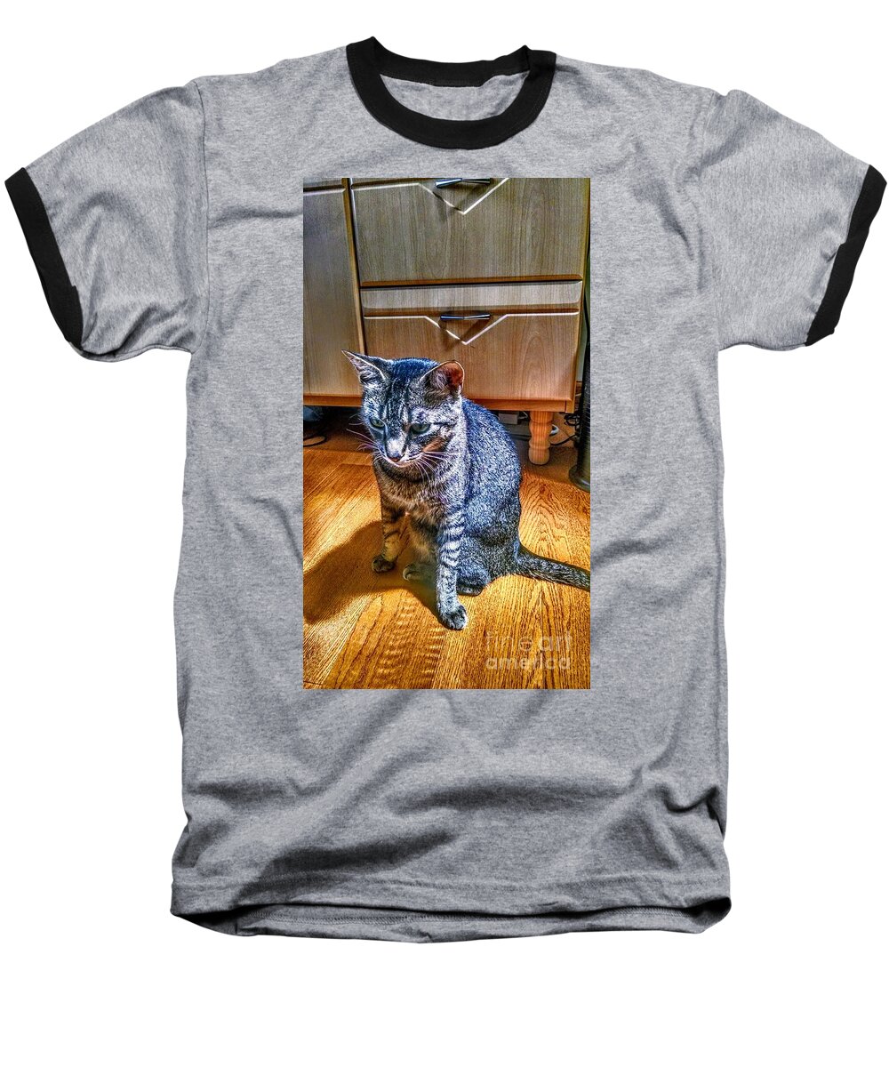 Grey Baseball T-Shirt featuring the photograph Le Chat Gris by Christopher Lotito