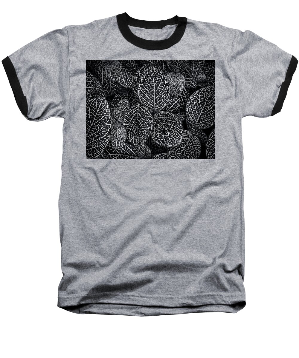 Leafy Baseball T-Shirt featuring the photograph Leaf Pattern by Wayne Sherriff