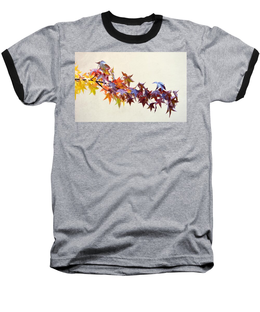 Scenic Baseball T-Shirt featuring the photograph Leaves of Many Colors by AJ Schibig