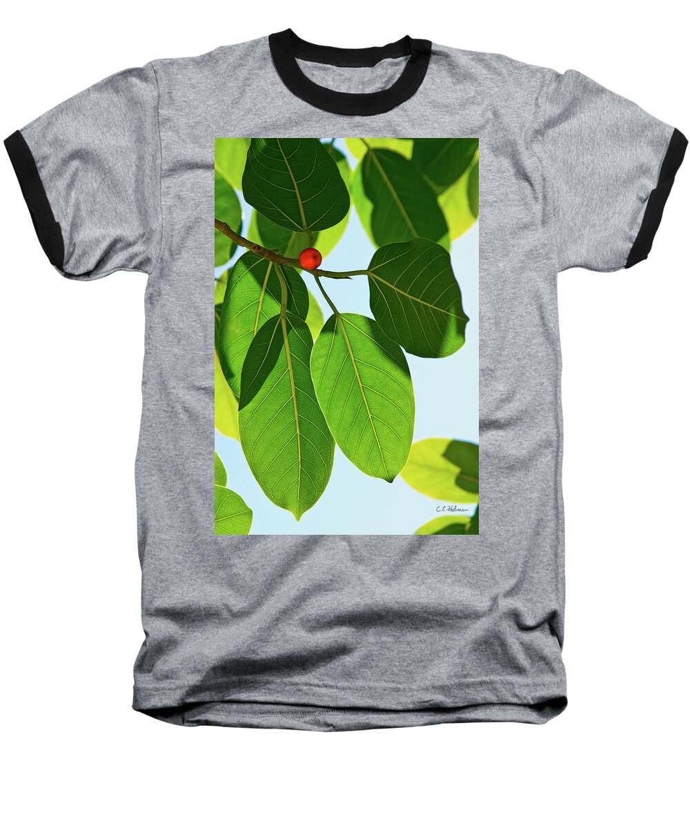 Leaves Baseball T-Shirt featuring the photograph Leaves Of The Banyan by Christopher Holmes
