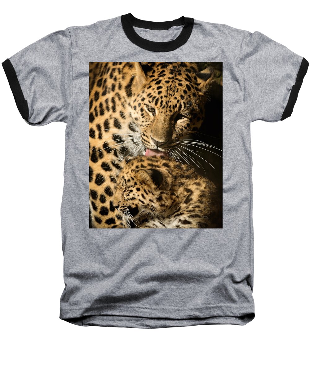 Amur Baseball T-Shirt featuring the photograph Leopard Cub Love by Chris Boulton