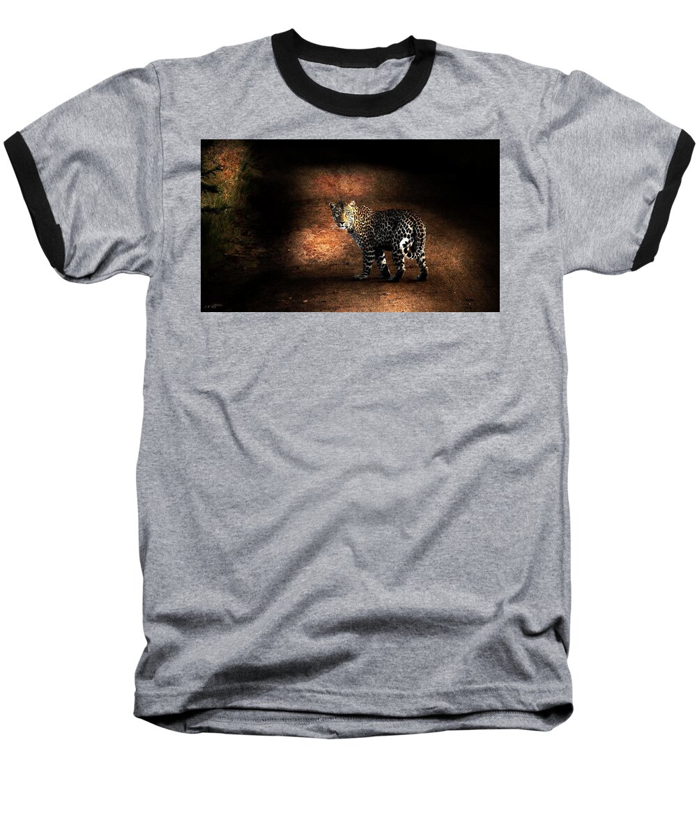 Leopard Baseball T-Shirt featuring the photograph Leopard by Jean Francois Gil