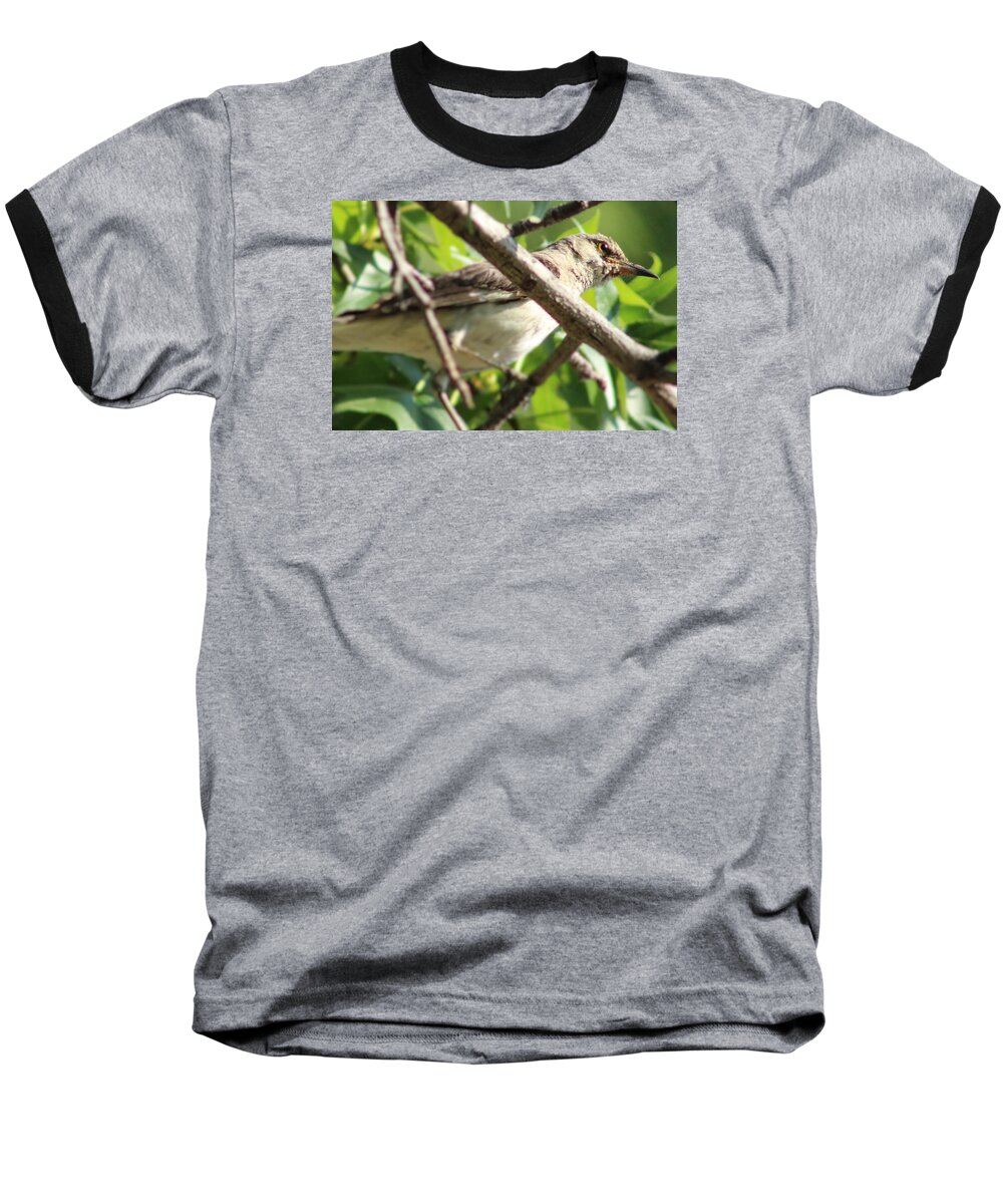Bird Baseball T-Shirt featuring the photograph Life in the Trees by Tim Kuret