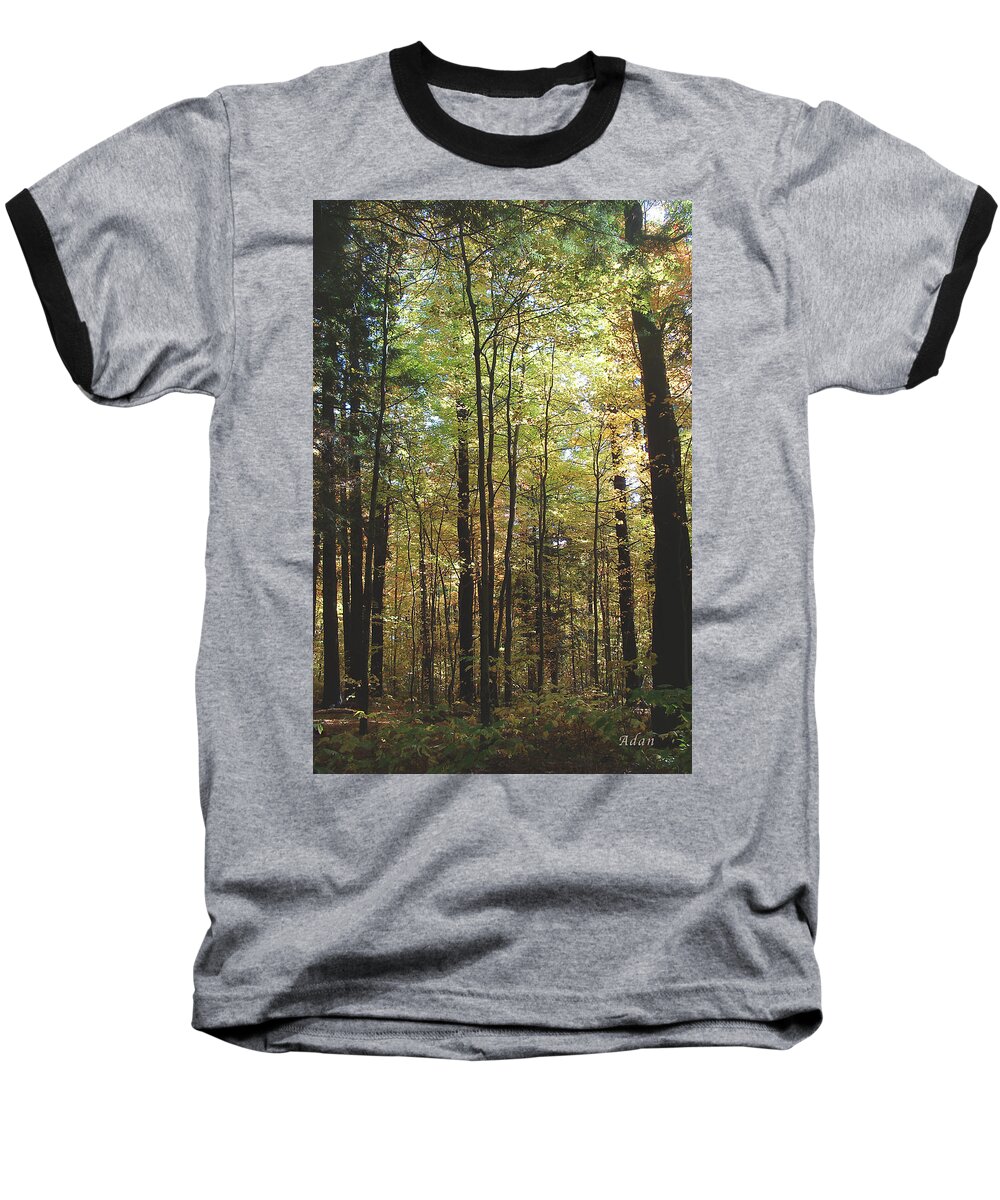 Forest Baseball T-Shirt featuring the photograph Light Among the Trees Vertical by Felipe Adan Lerma