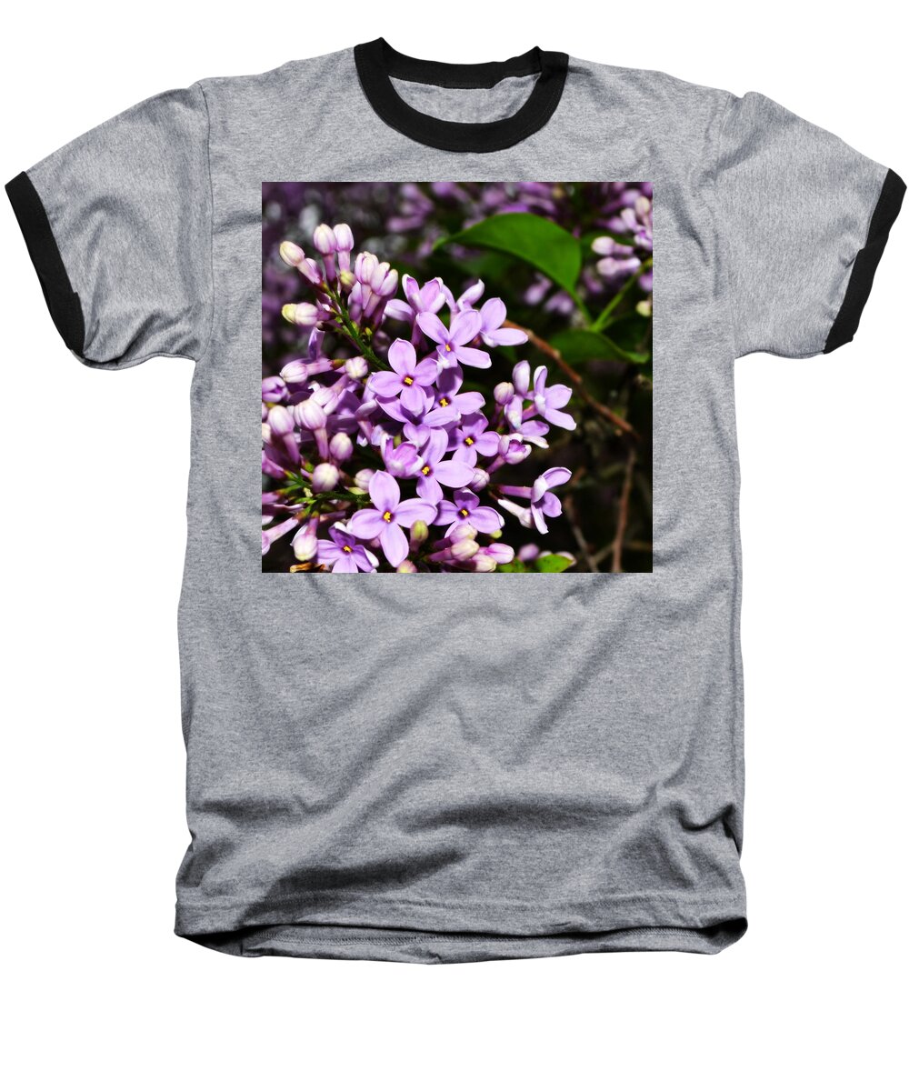 Backyard Baseball T-Shirt featuring the photograph Lilac Bush in Spring by Michelle Calkins