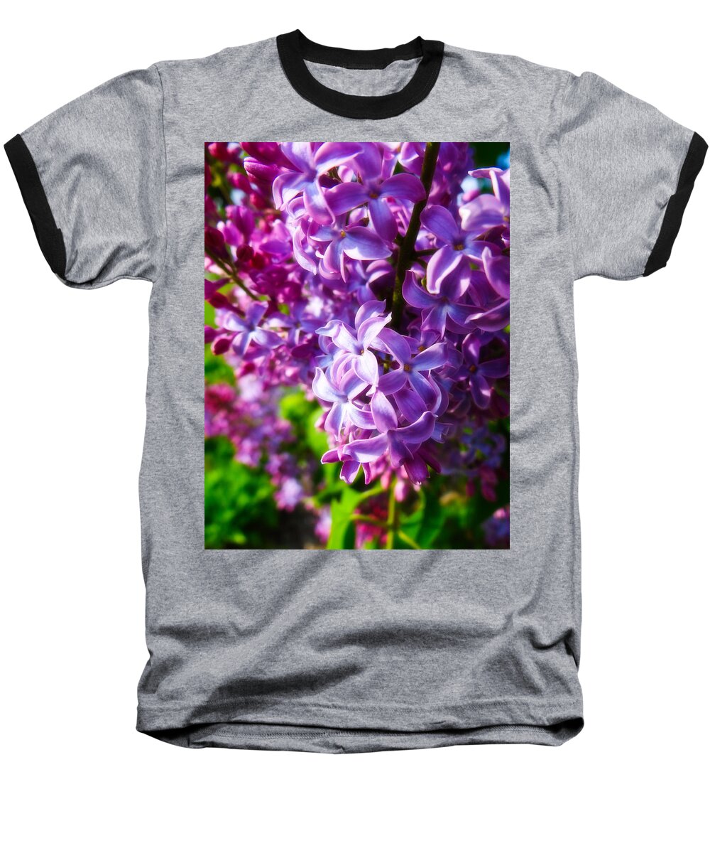 Lilac Baseball T-Shirt featuring the photograph Lilac in the Sun by Julia Wilcox