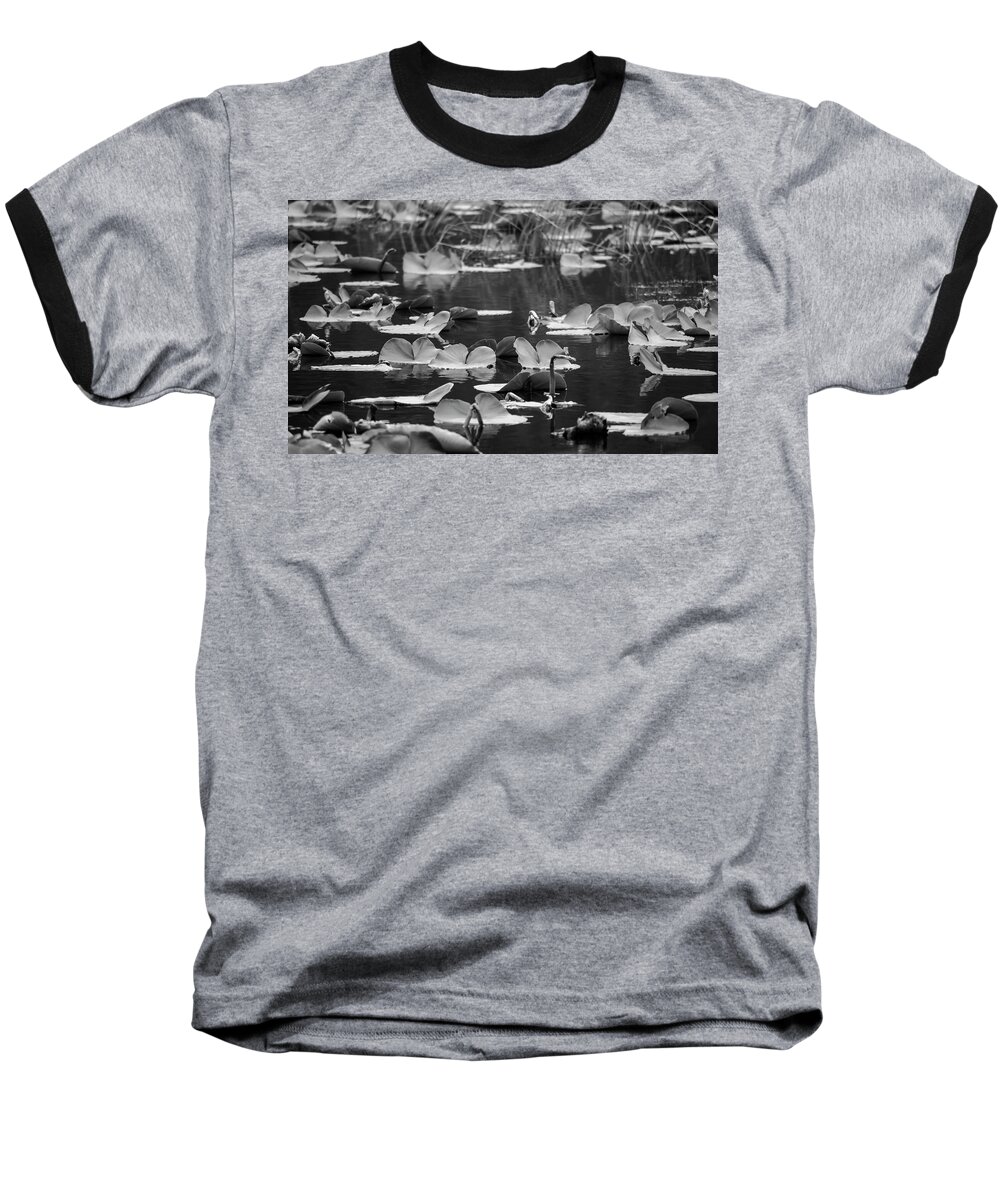 Landscapes Baseball T-Shirt featuring the photograph Lilly Pond by Steven Clark