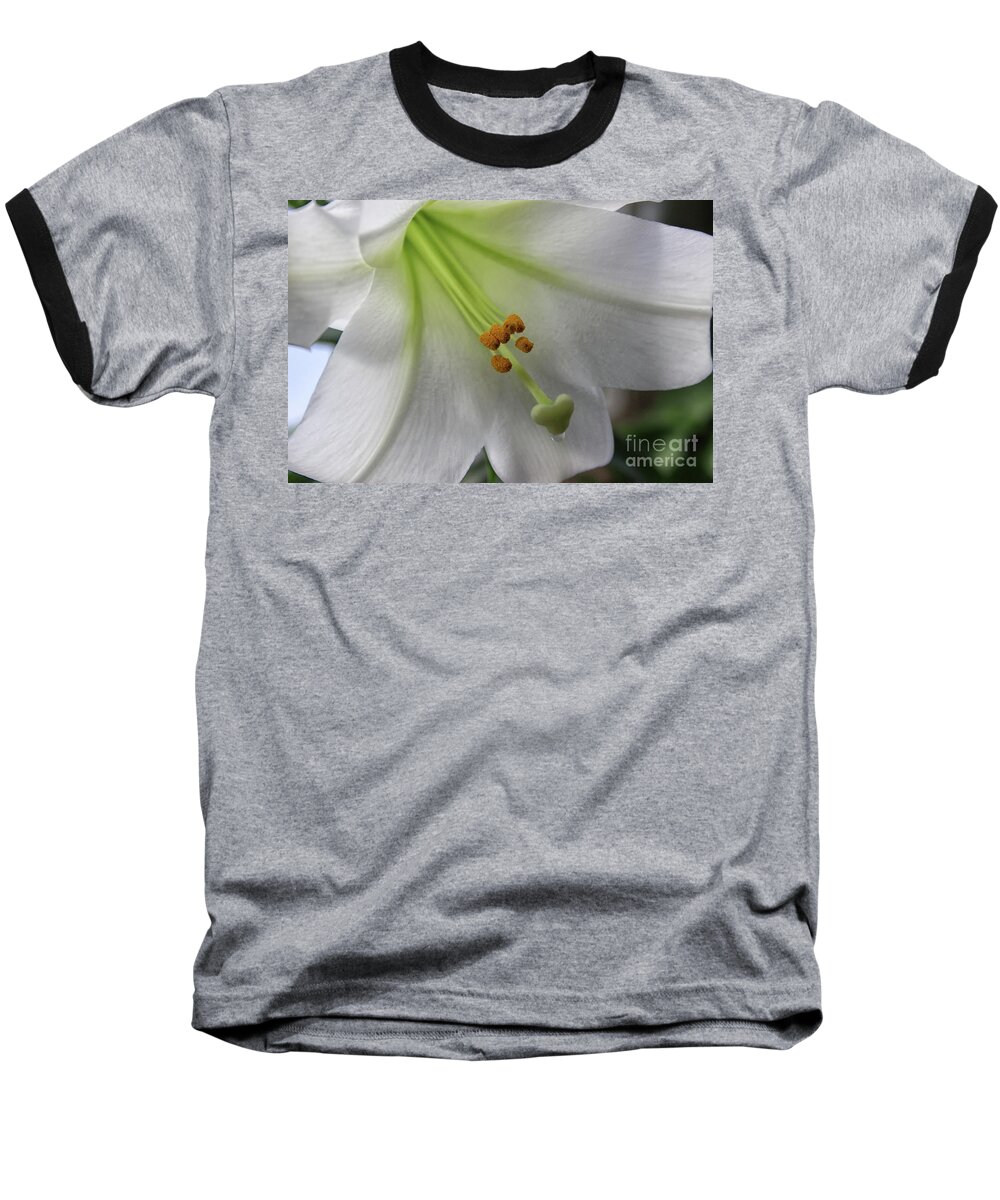 Lily Baseball T-Shirt featuring the photograph Lily by Karen Adams