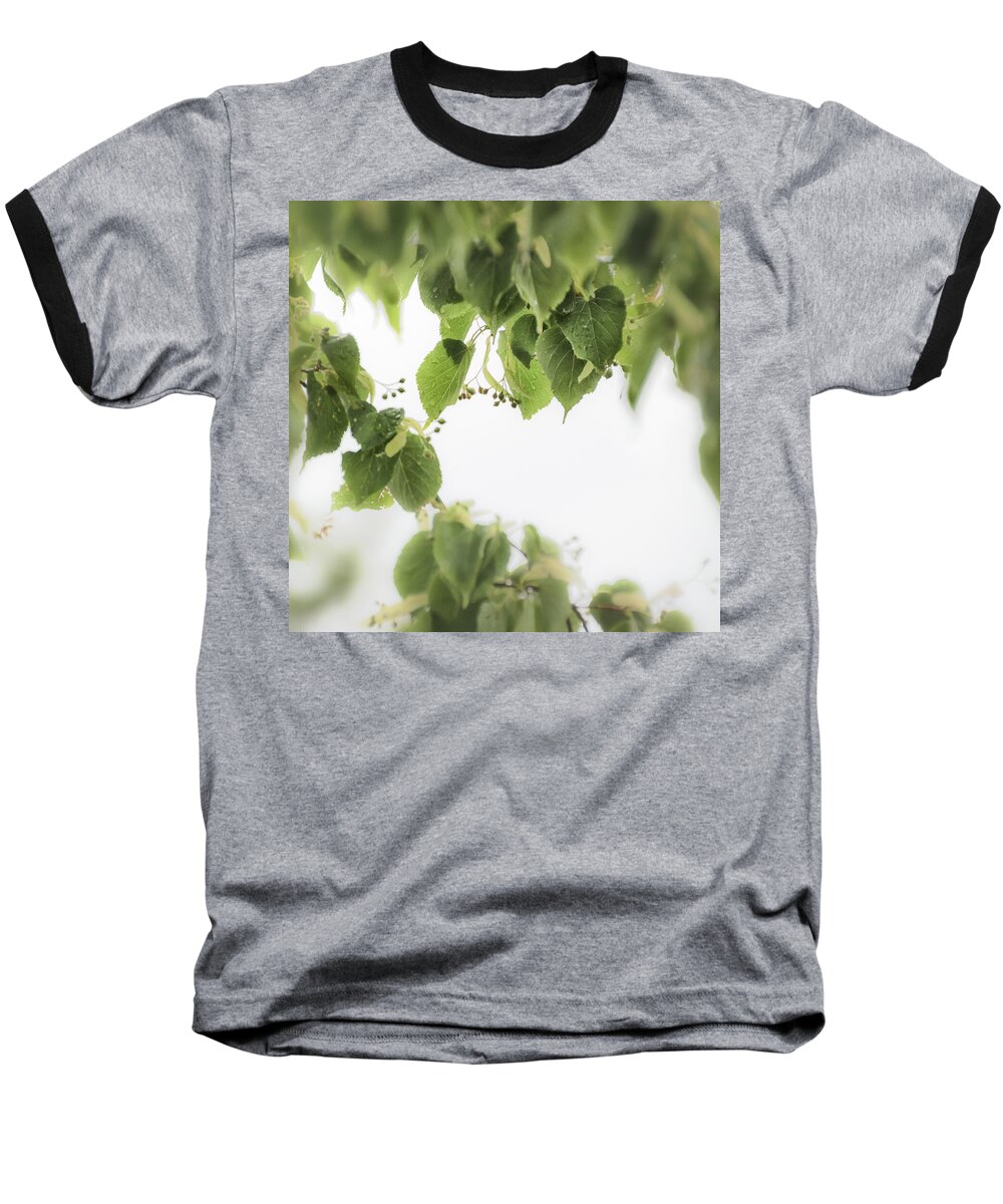 Linden Leaves Baseball T-Shirt featuring the photograph Linden in the Rain 2 - by Julie Weber