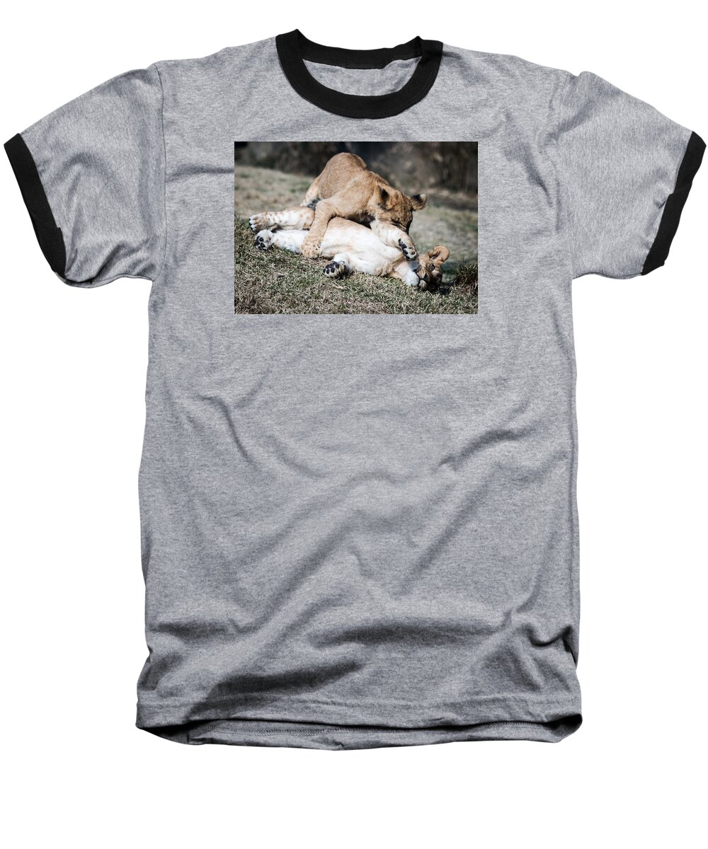 Lion Baseball T-Shirt featuring the photograph Lion Cubs at Play by Cathy Donohoue